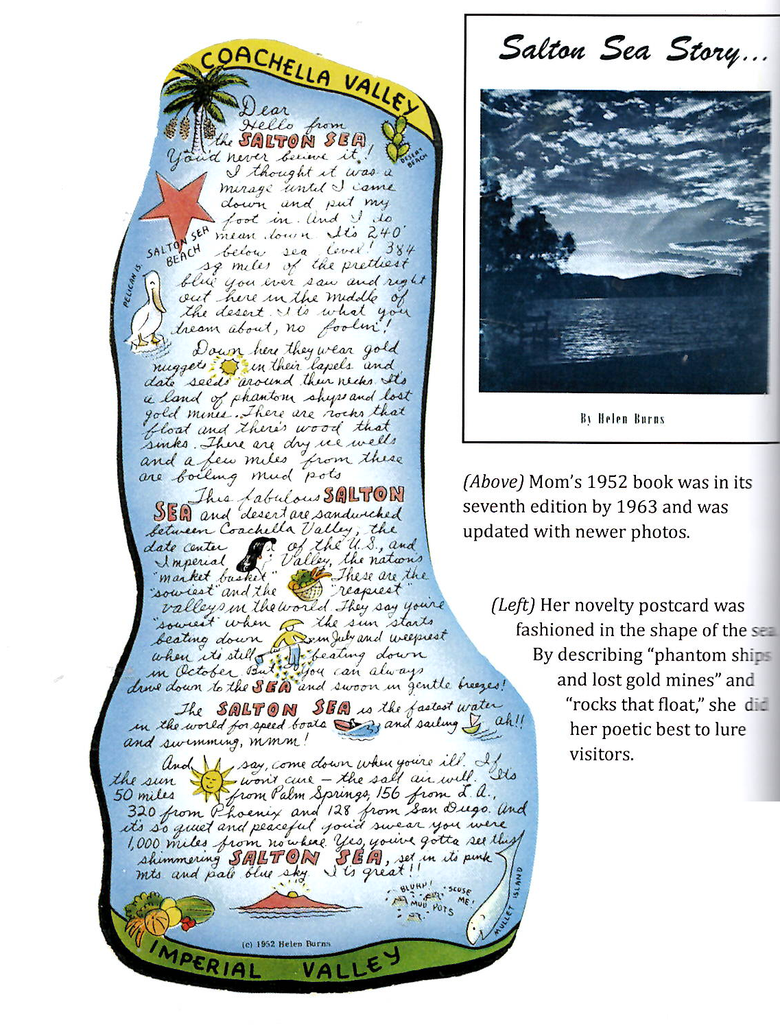 The Postcard